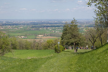 Parco di Roncolo immagini\calendario\20171118_1.jpg